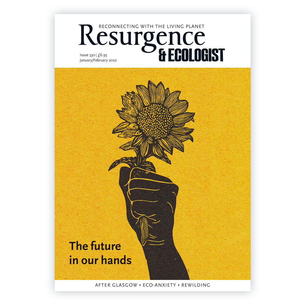 january-february-2022-issue-resurgence