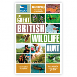 The Great British Wildlife Hunt