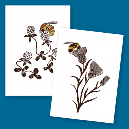 Set of 4 Becca Thorne 'Bee' cards