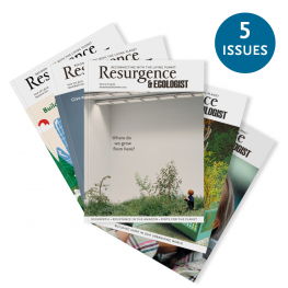 5 copy lucky dip bundle of Resurgence & Ecologist