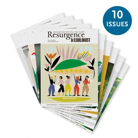 10 copy lucky dip bundle of Resurgence & Ecologist